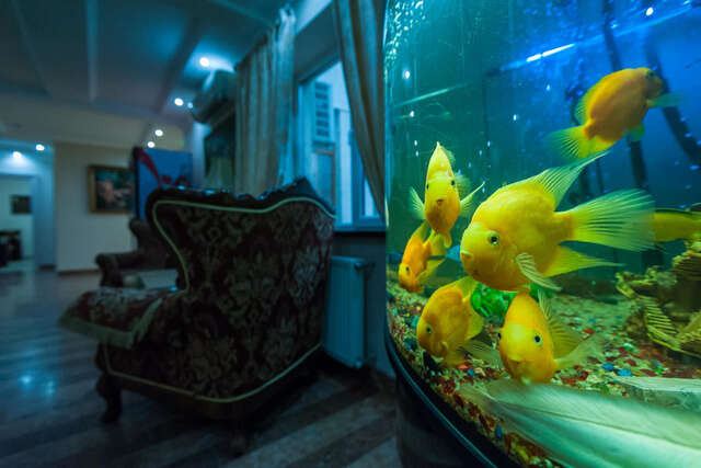 Отель Leoton Hotel Черновцы-16